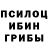 Псилоцибиновые грибы GOLDEN TEACHER Lightning Within
