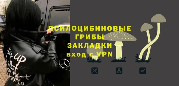 ГАЛЛЮЦИНОГЕННЫЕ ГРИБЫ Абаза