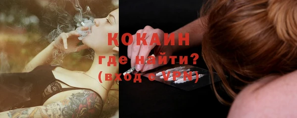 ГАЛЛЮЦИНОГЕННЫЕ ГРИБЫ Абаза