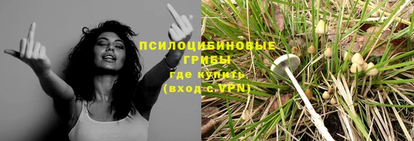 ГАЛЛЮЦИНОГЕННЫЕ ГРИБЫ Абаза