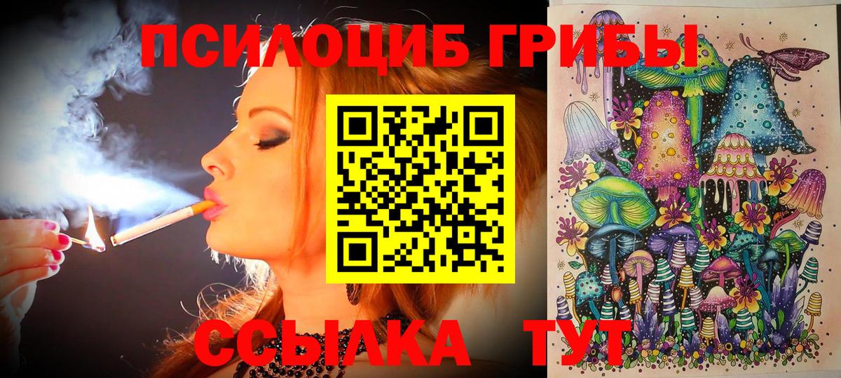 Псилоцибиновые грибы мицелий  наркотики  Донской  Вход с VPN 